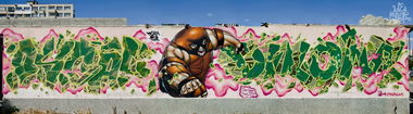 Graffiti Wall - Photo by oscar1 - oscar, raveo, dilom (2013)