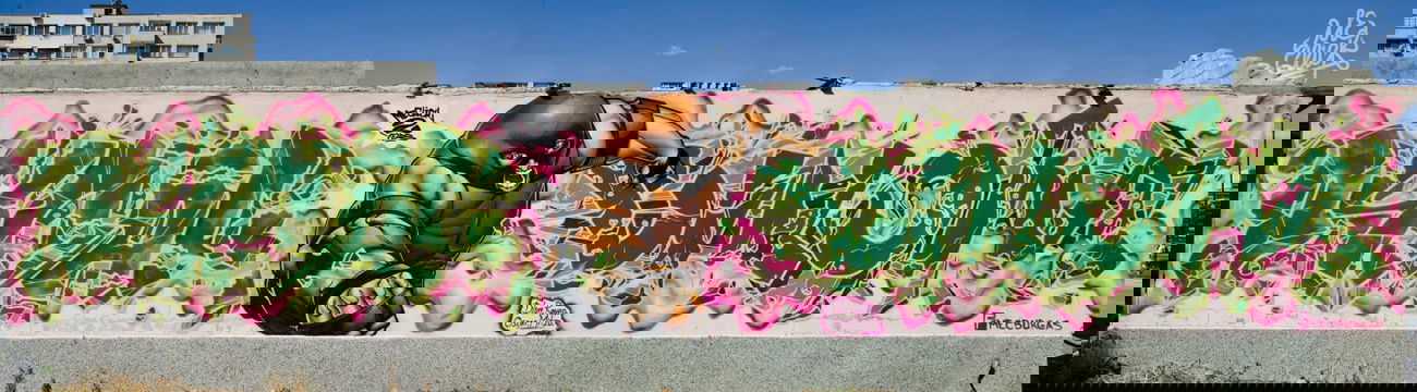 Graffiti Wall - Photo by oscar1 - oscar, raveo, dilom (2013)