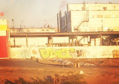 Photo #183133 by wise