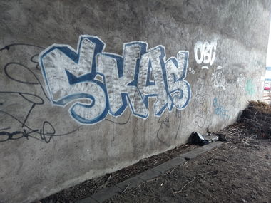 Graffiti Photo by ovakill - SKAS, Mannheim, Train