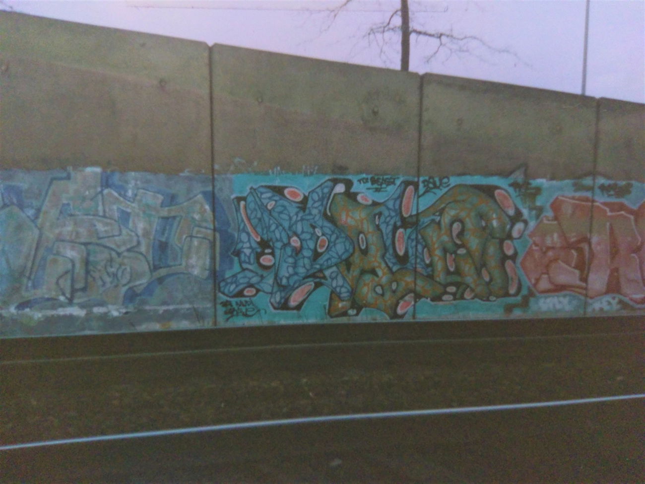 Graffiti Photo by ovakill - DAVE, ROE, Train