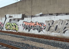 Photo #226307 by whonift