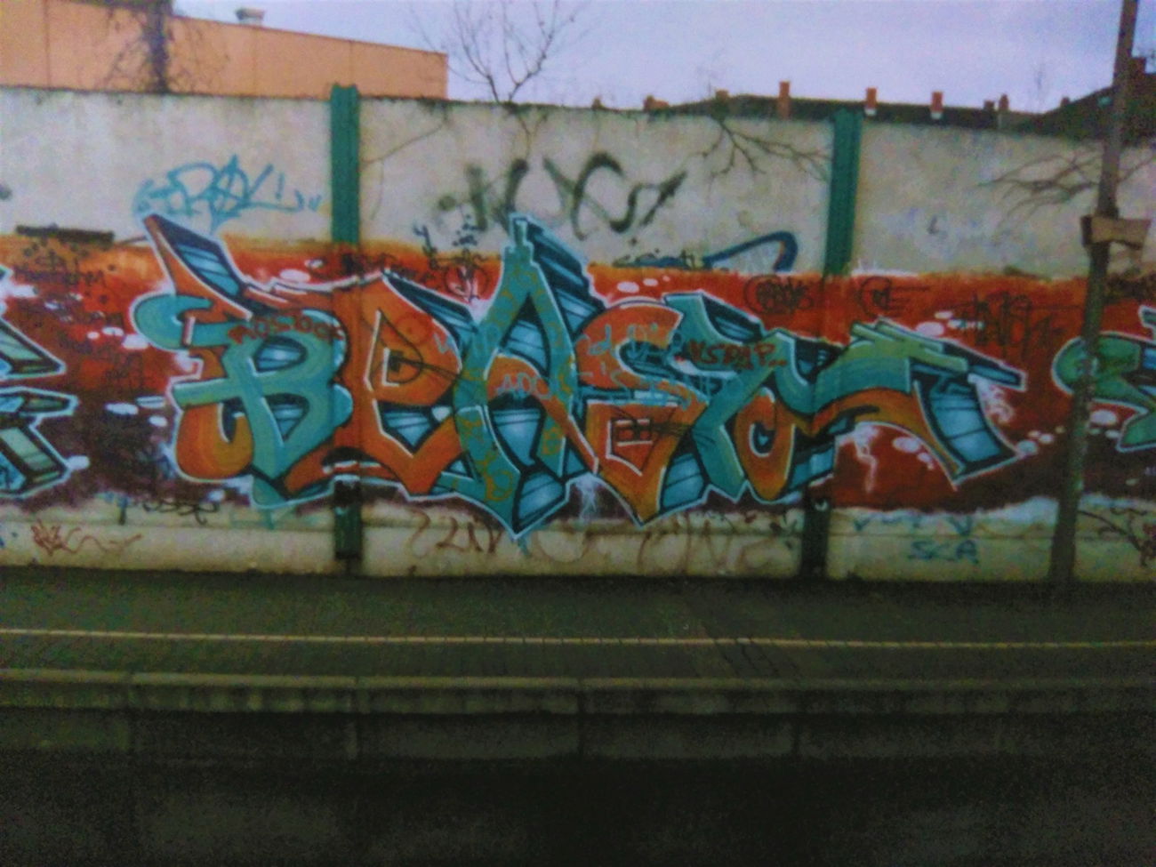 Graffiti Wall in Mannheim - Photo by ovakill - BEAST, ROE, Train