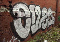 Photo #39744 by nuttenpreller