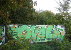 Photo #43119 by pokeoner