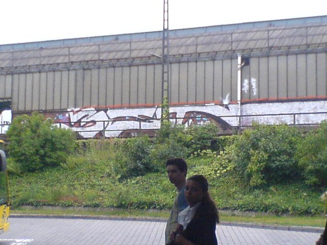 Graffiti Bombing - Photo by oze