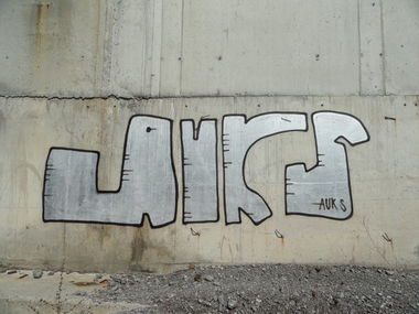 Graffiti Bombing - Photo by pannonian - Auks