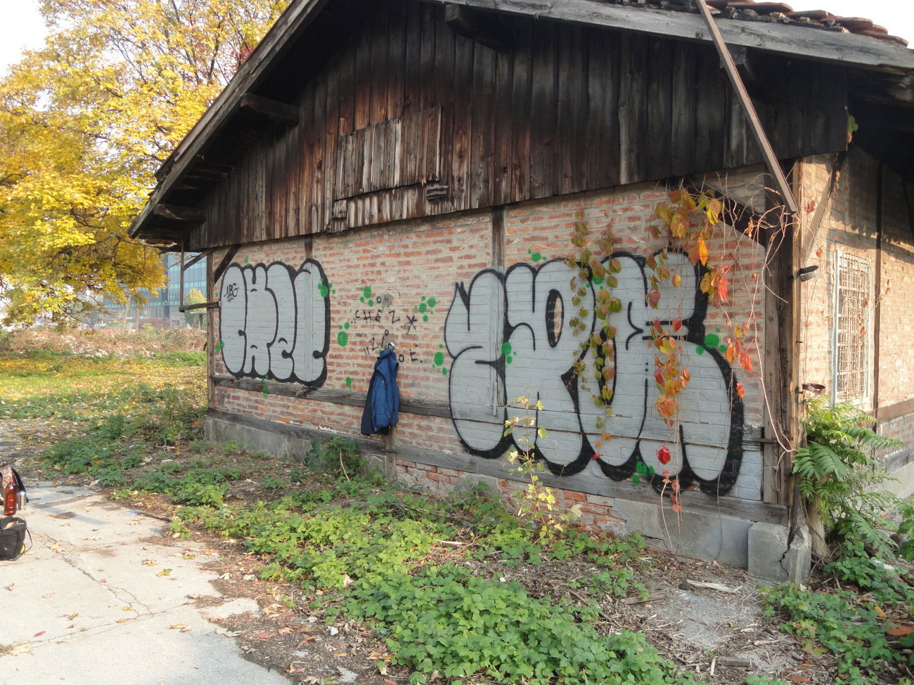 Graffiti Bombing - Photo by pannonian - Chez, Zipo