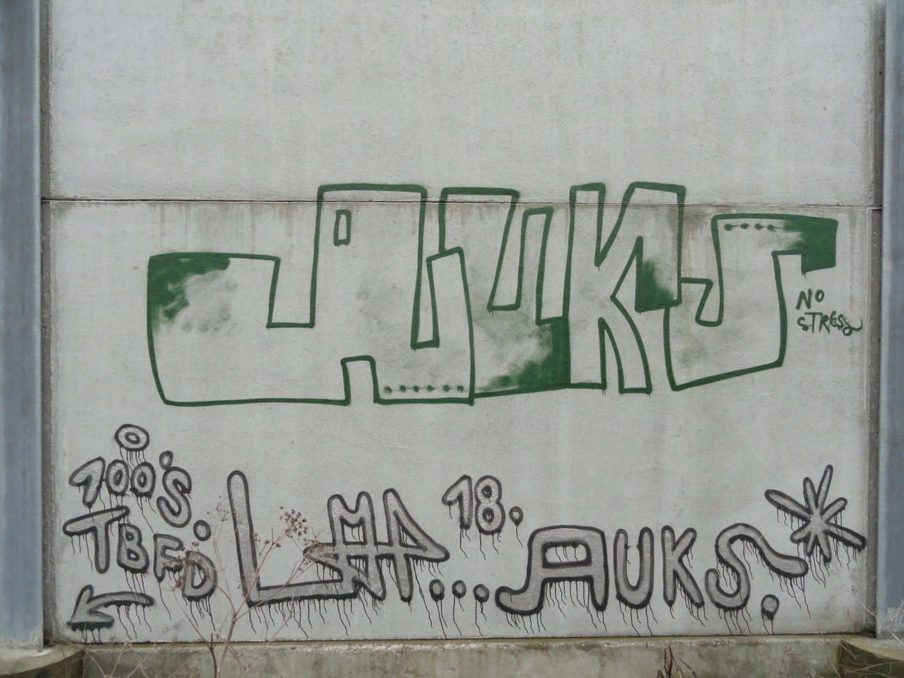 Graffiti Wall - Photo by pannonian