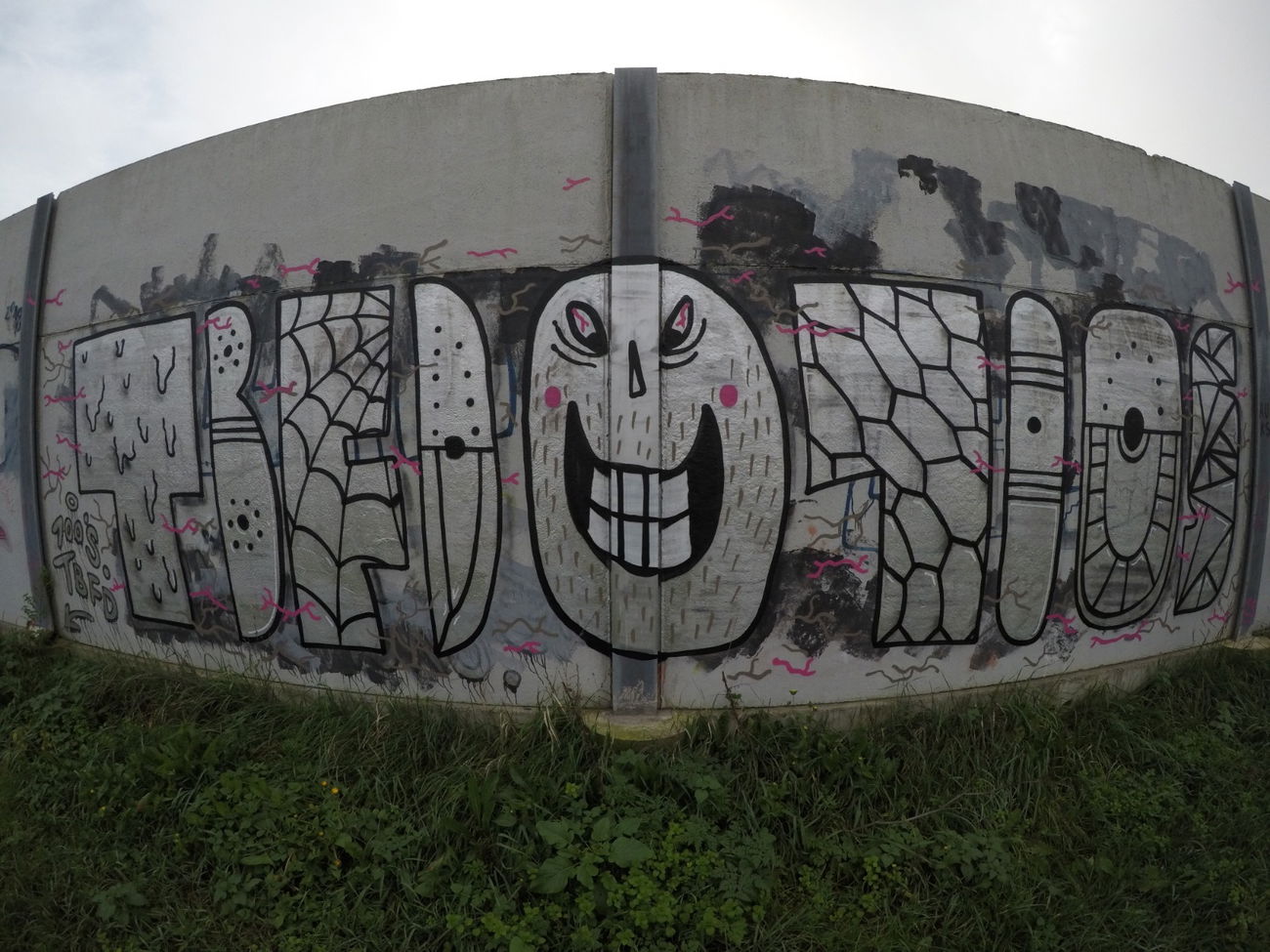 Graffiti Wall - Photo by pannonian - tbfd, 100s