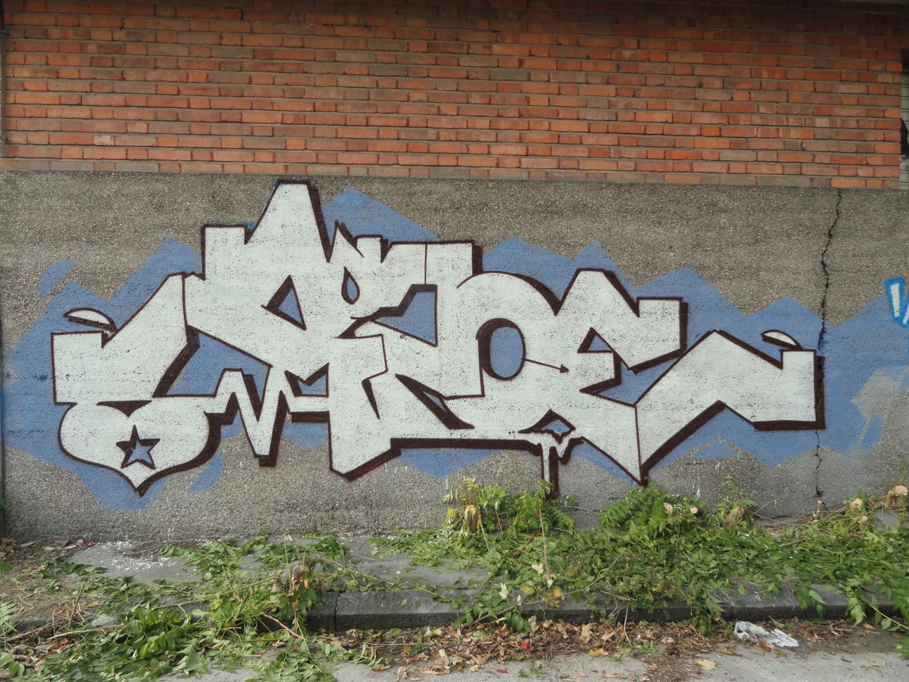 Graffiti Wall - Photo by pannonian - Zipo