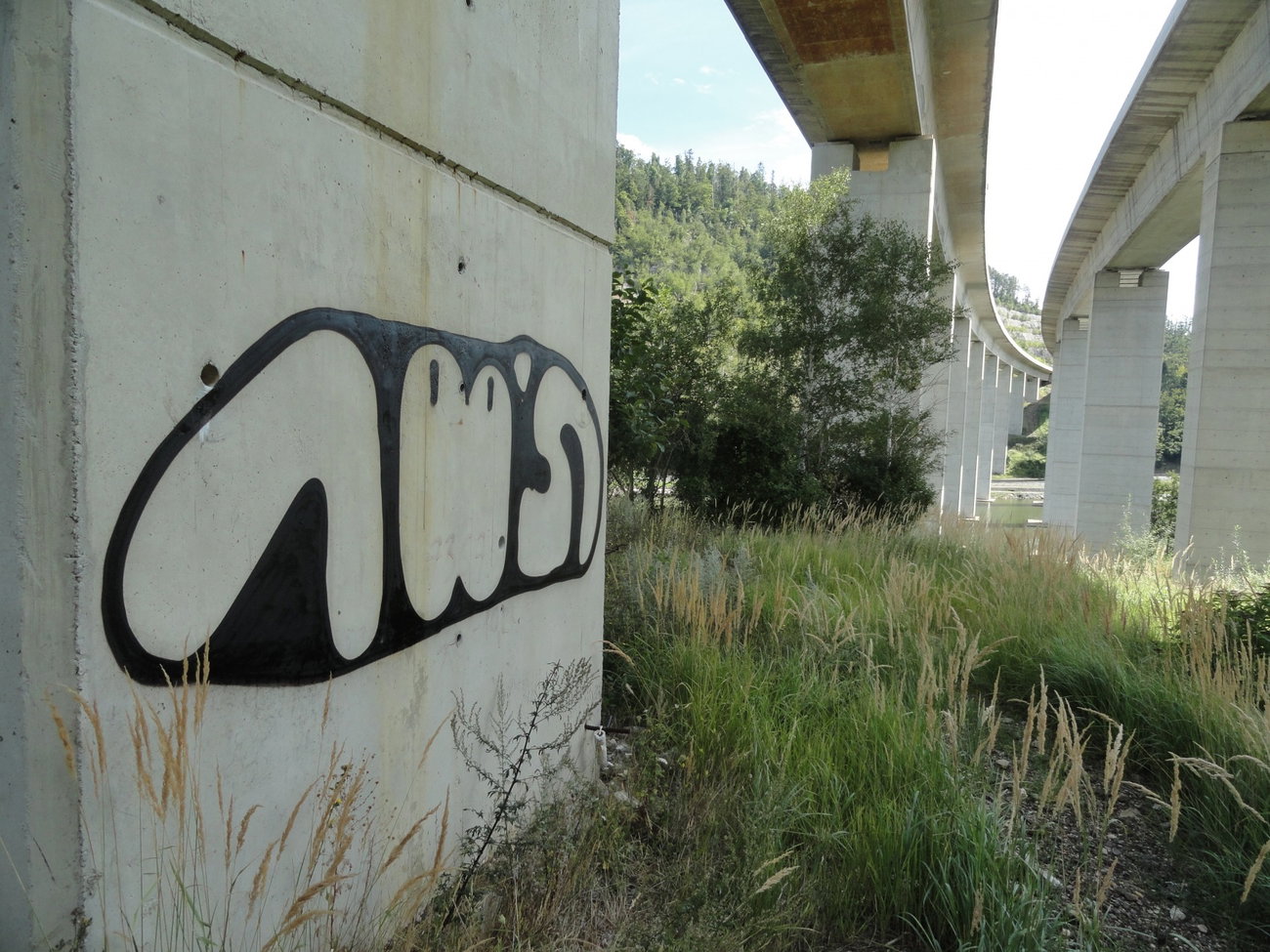 Graffiti Wall - Photo by pannonian - 100S, 100.s