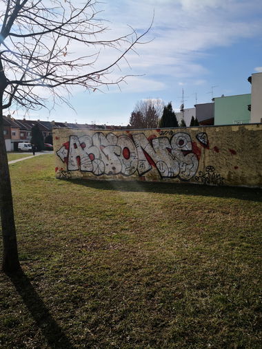 Graffiti Wall - Photo by pannonian - argone, traper