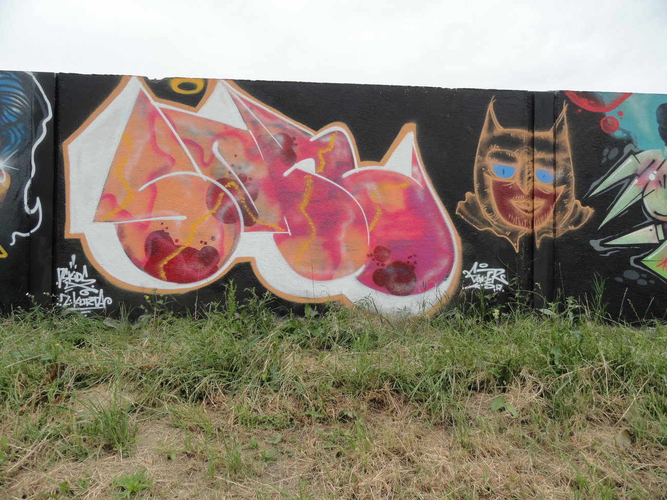 Graffiti Wall - Photo by pannonian - Sok