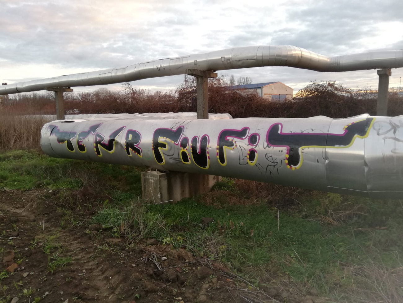 Graffiti Wall - Photo by pannonian - terr, fiufit