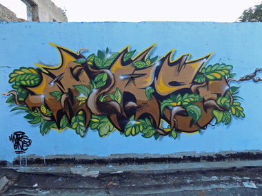 Graffiti Wall - Photo by pannonian - Niks