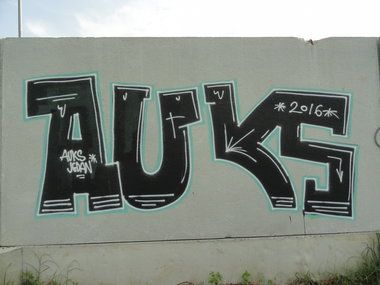 Graffiti Wall - Photo by pannonian - auks