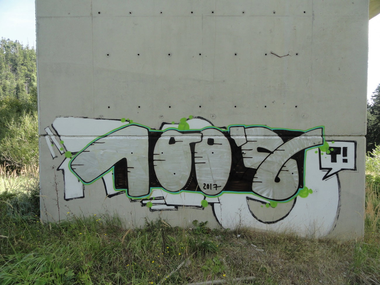 Graffiti Wall - Photo by pannonian