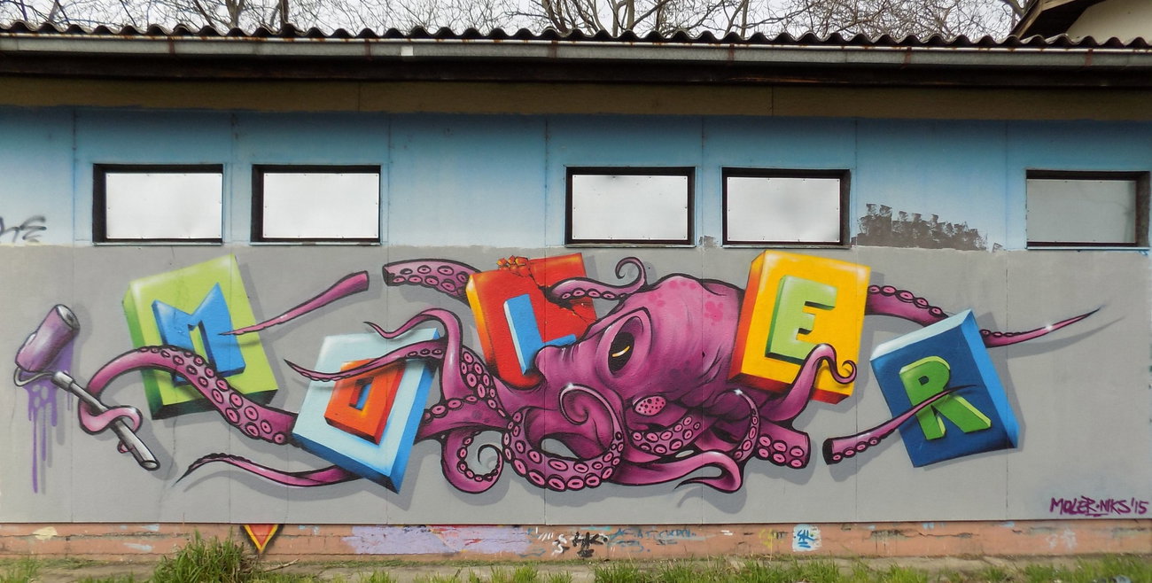 Graffiti Wall - Photo by pannonian - Moler, NIks