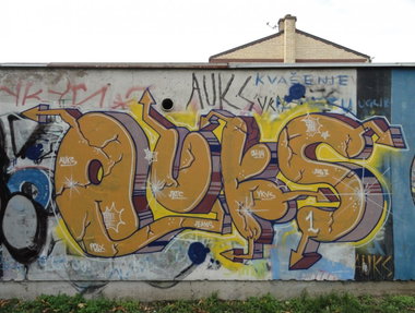 Graffiti Wall - Photo by pannonian - Auks (2013)
