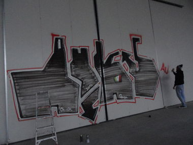 Graffiti Bombing in Italy - Photo by pannonian - auks (2012)