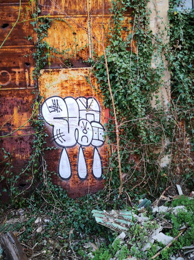 Graffiti Wall - Photo by pannonian - uh, uhone, throwup