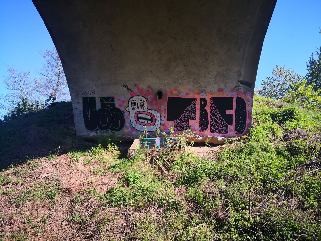 Graffiti Wall - Photo by pannonian - uh, tbfd