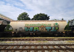 Graffiti Wall - Photo by pannonian - watt