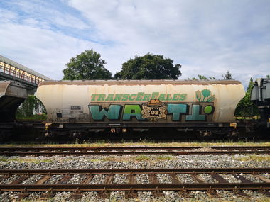 Graffiti Wall - Photo by pannonian - watt