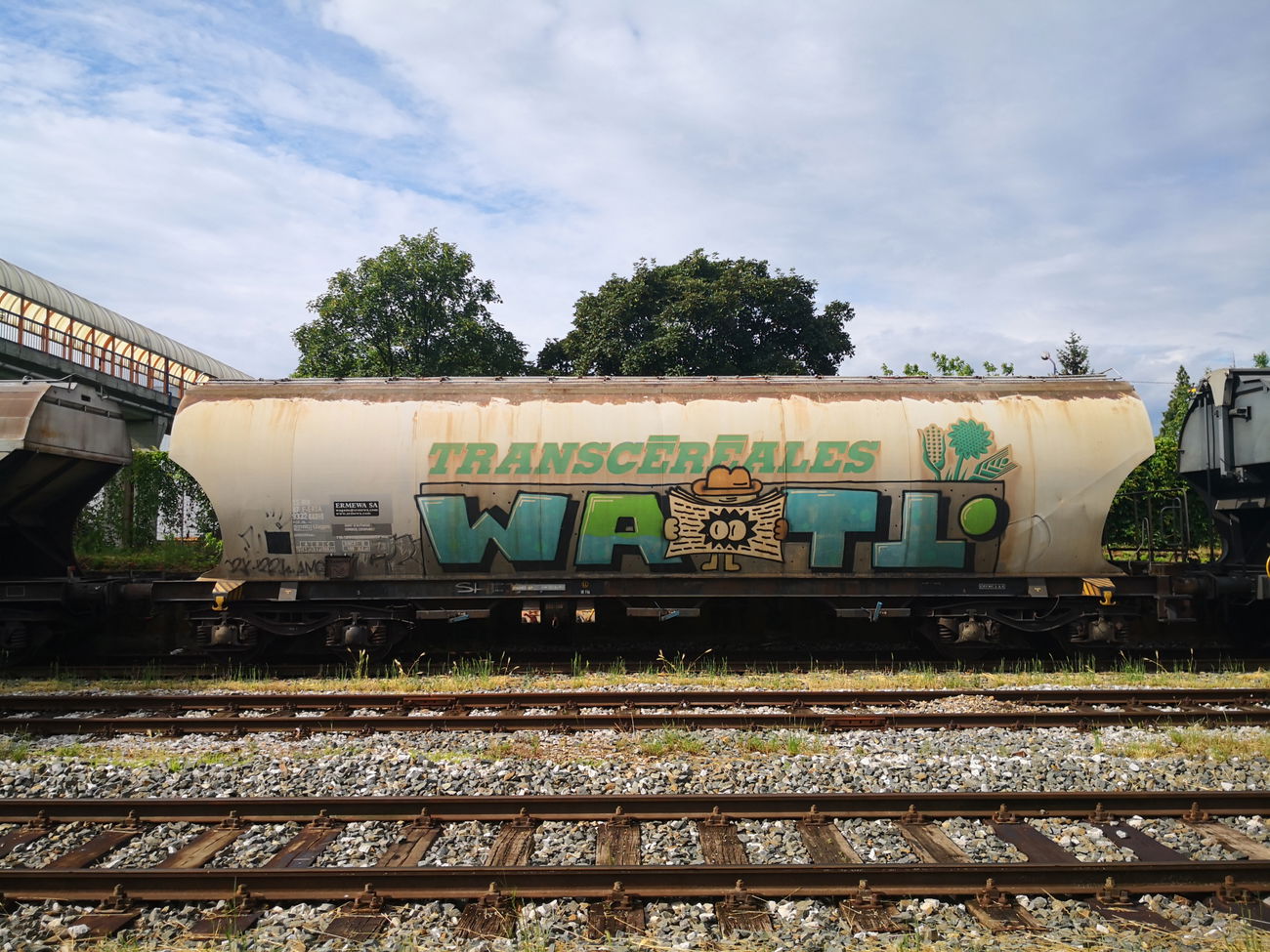 Graffiti Wall - Photo by pannonian - watt