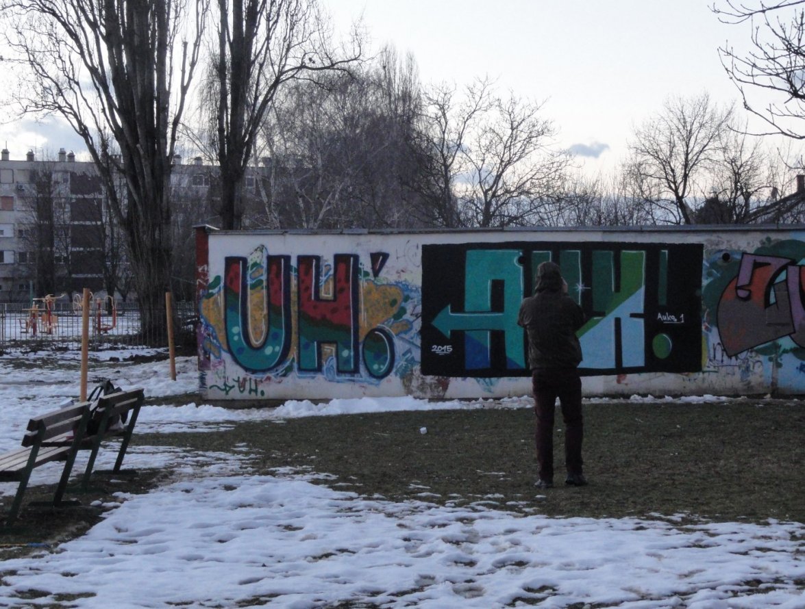 Graffiti Bombing - Photo by pannonian - uh, auks (2015)