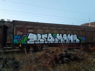 Graffiti Train - Photo by pannonian - tbfd, haha