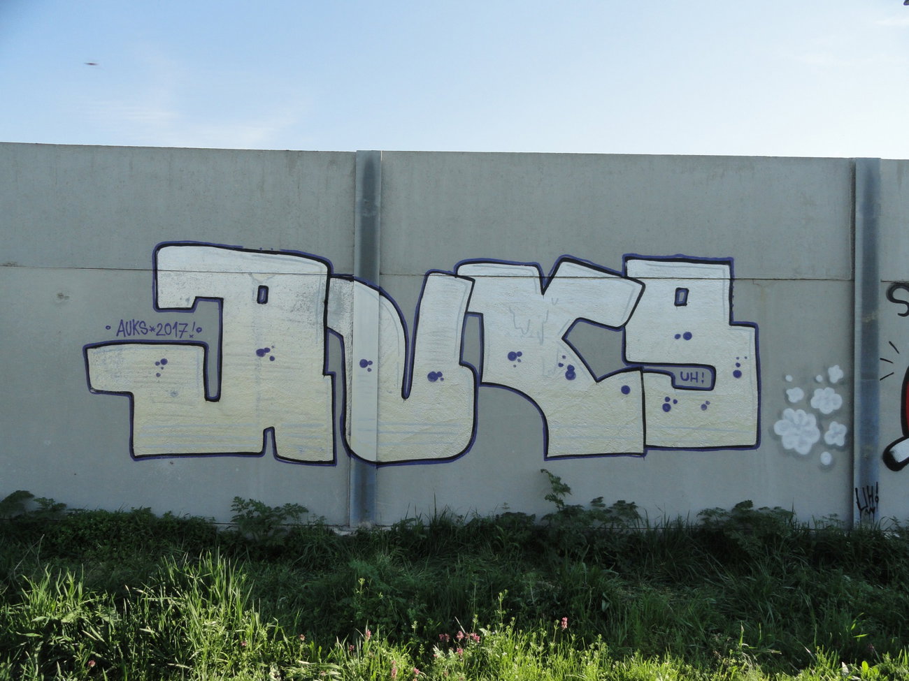 Graffiti Wall - Photo by pannonian - Auks