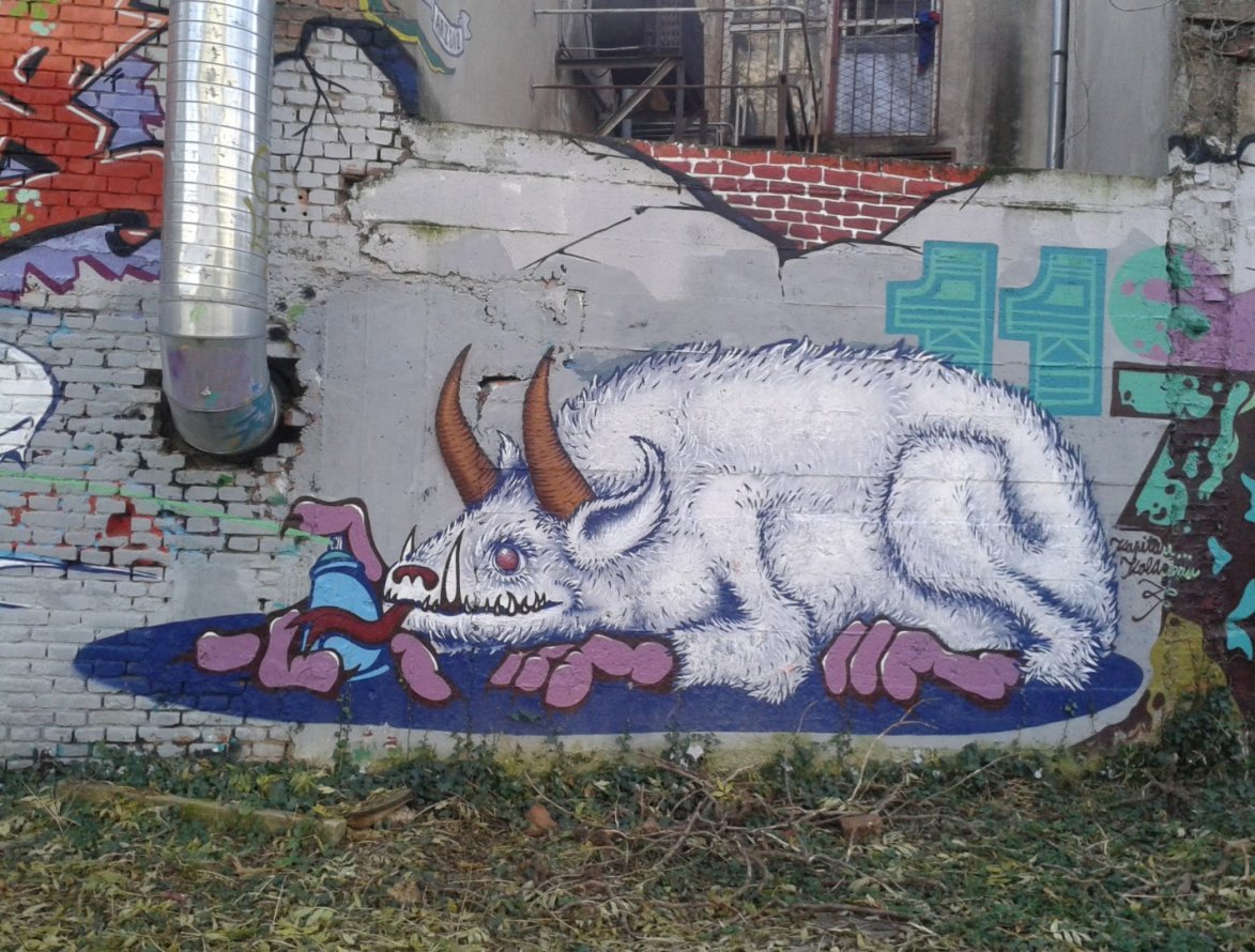 Graffiti Wall - Photo by pannonian - 1107, Medika