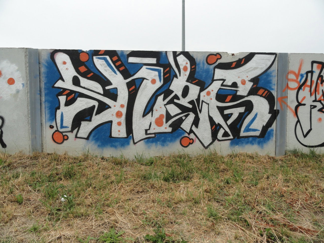 Graffiti Wall - Photo by pannonian - Shaz