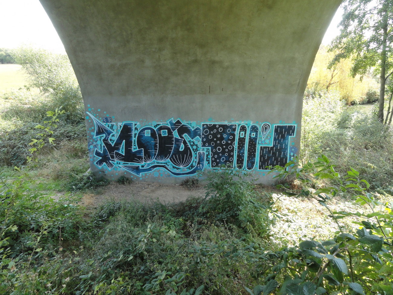 Graffiti Wall - Photo by pannonian