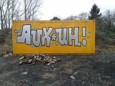 Graffiti Bombing - Photo by pannonian - Auks, Uh