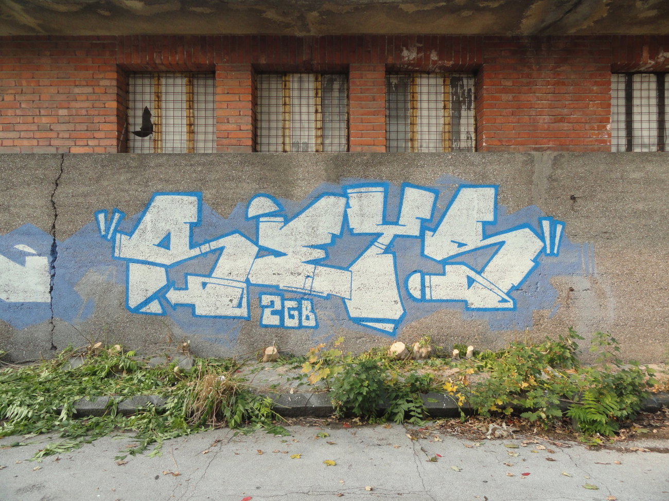 Graffiti Wall - Photo by pannonian - Seys