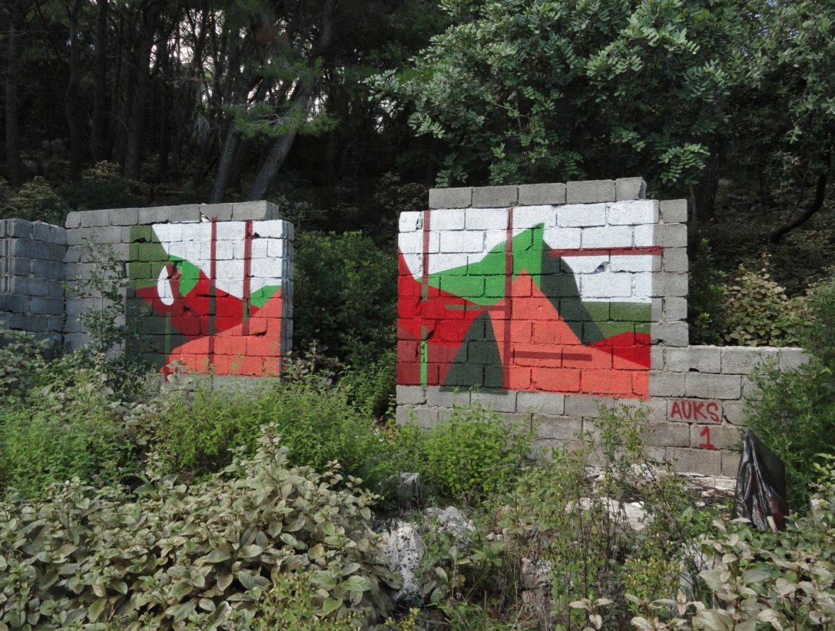 Graffiti Bombing - Photo by pannonian - auks (2014)