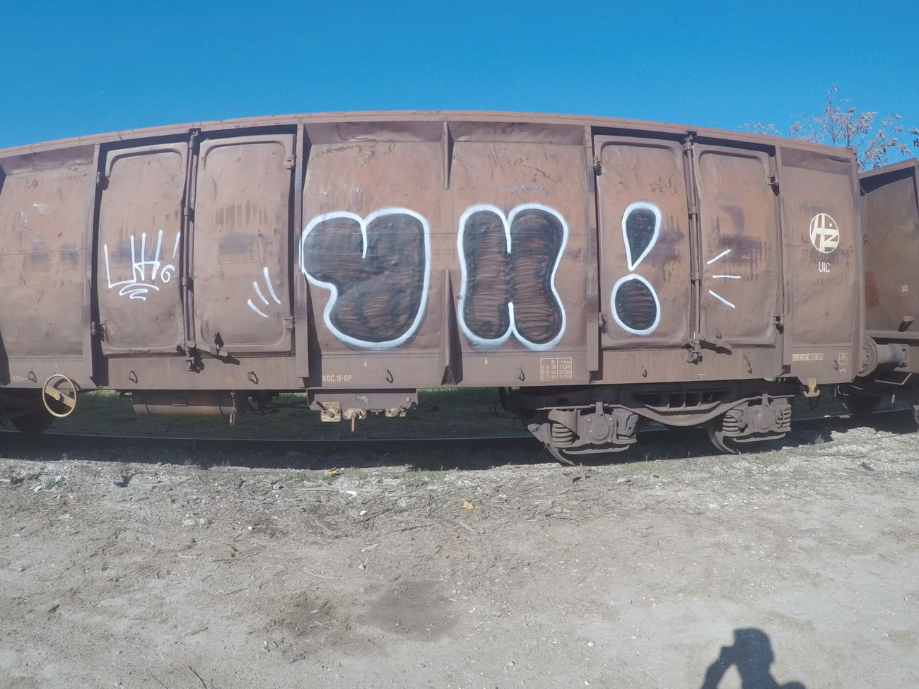 Graffiti Train - Photo by pannonian - Uh, Freight