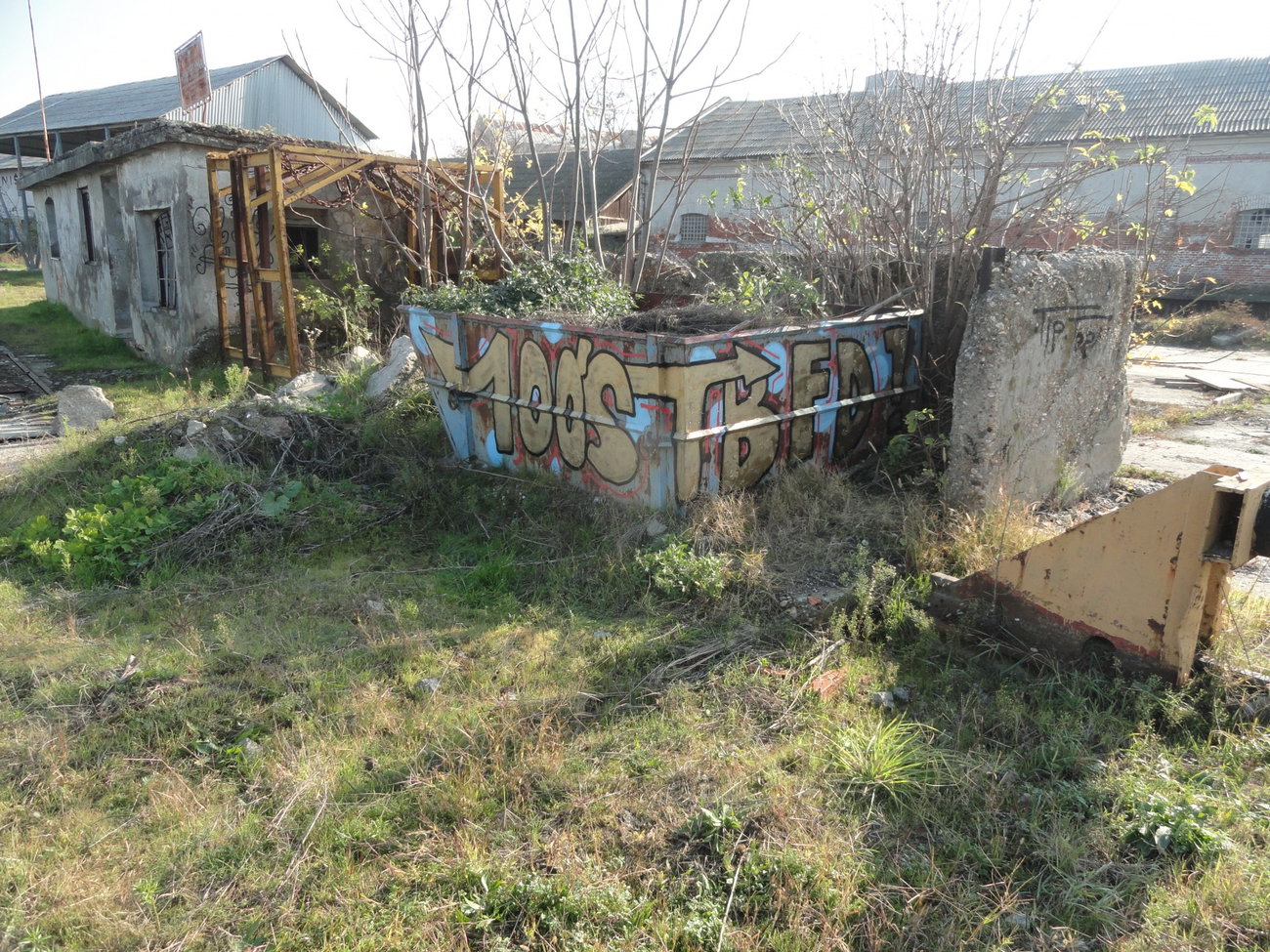 Graffiti Wall - Photo by pannonian