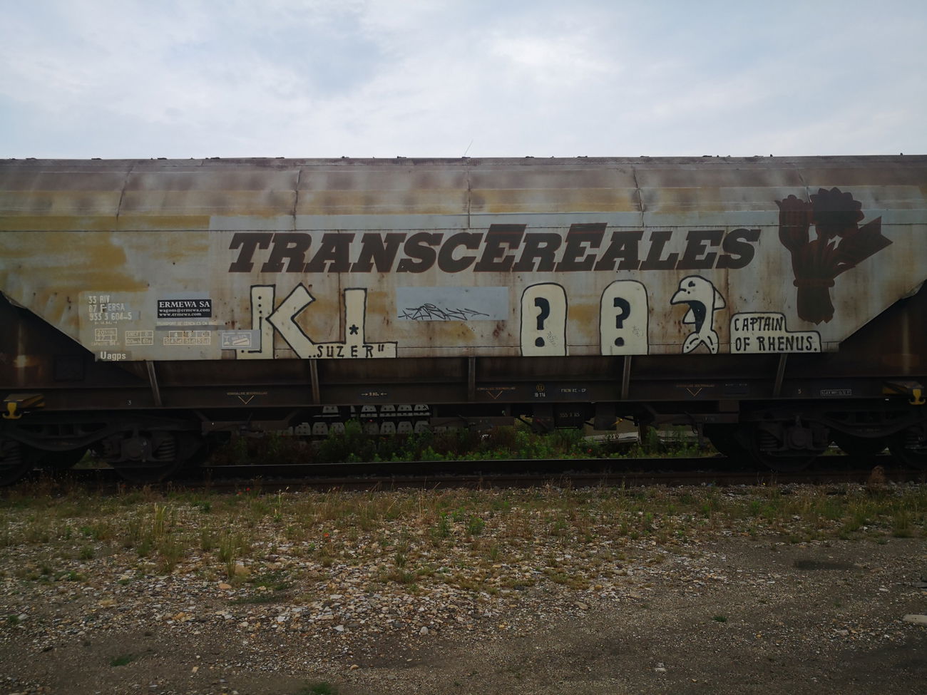 Graffiti Wall - Photo by pannonian - k100