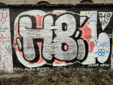 Graffiti Bombing - Photo by pannonian - H8