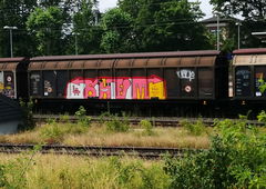 Graffiti Train - Photo by pannonian - shem, neu