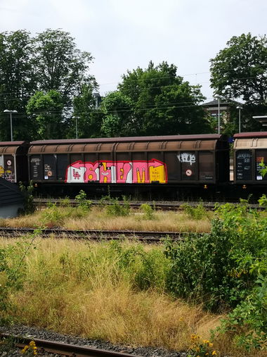 Graffiti Train - Photo by pannonian - shem, neu