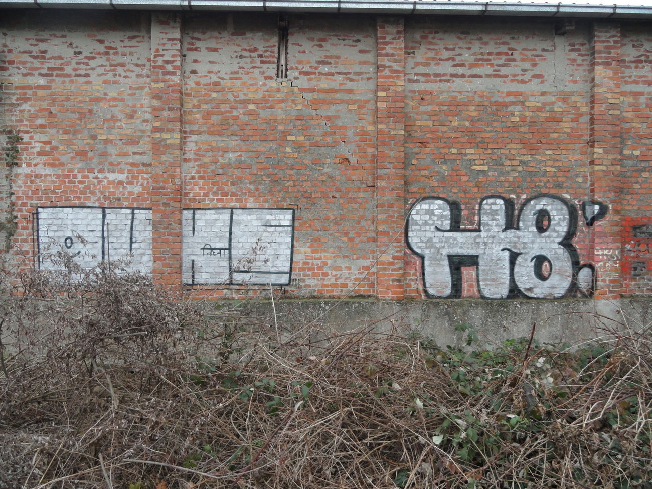 Graffiti Bombing - Photo by pannonian - Auks, H8