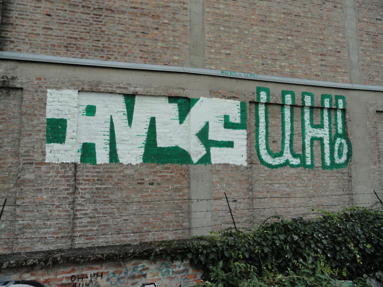 Graffiti Bombing - Photo by pannonian - Auks, Uh, Roller