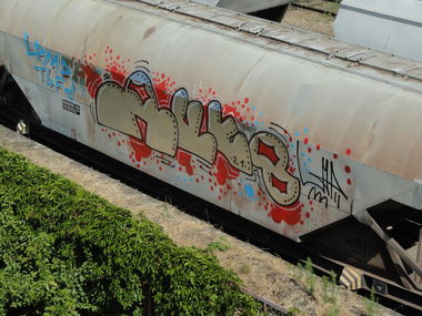 Graffiti Train - Photo by pannonian