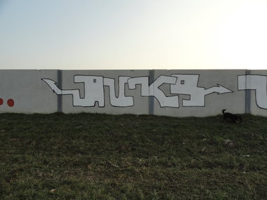 Graffiti Wall - Photo by pannonian - Auks