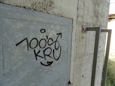 Graffiti Wall - Photo by pannonian - 100S, 100.s